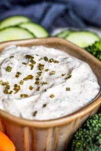 Close up shot of ranch dip in gray bowl.