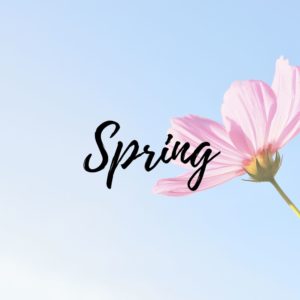Spring Specials