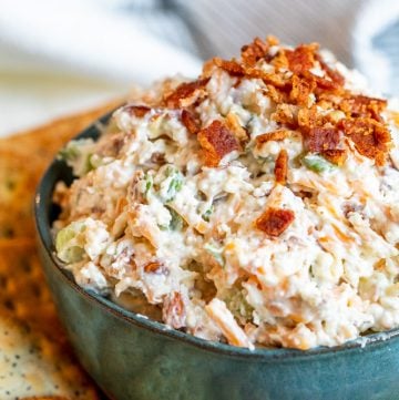 Angle shot of million dollar dip in a blue bowl with crackers surrounding it.