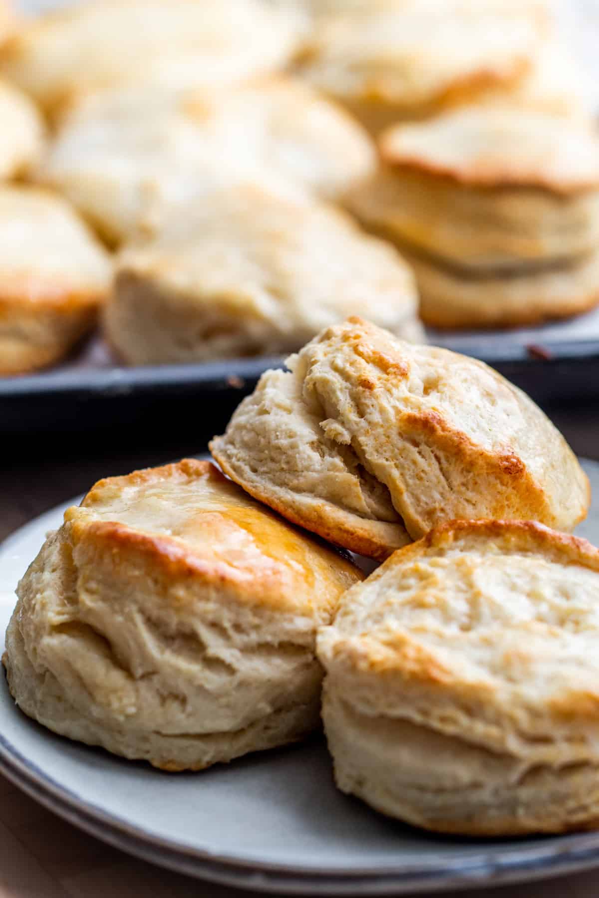 Biscuits sitting on gray plate with more on tray in background.